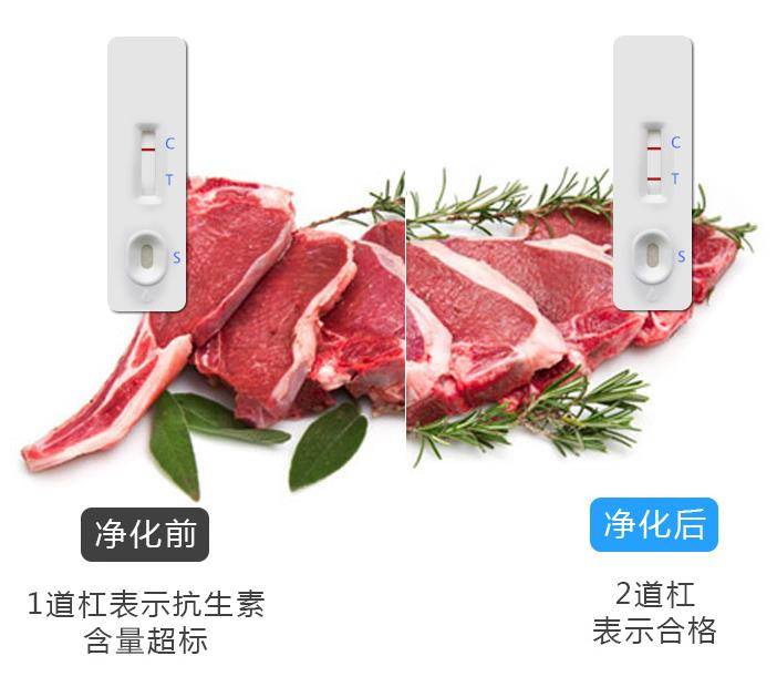 肉類淨化效果對比